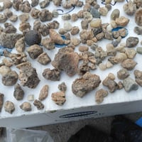 أحجار • ديكور حديقة