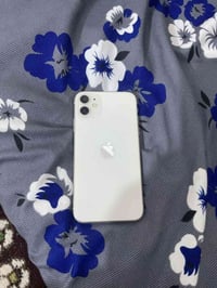 آيفون 11 • كفالة عامة • كوت الفلاحية