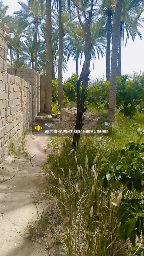 فرصه استشماريه بابل المسيب
6دونم للبيع سند25 مستقل 
نخيل عدد80 أشجار فواكه رمان عنب
تين برتقال زيتون+حمضيات نارنج نومي 
لالنكي سندي +ماء كهرباء متوفر+ بأر ماء
+ماء سقي تحتوي على بحيره اسماك
+حقل  دواجن عدد2+اجايز دواجن
قاعه حقل دواجن واحد مشيد
+تبعد عن شارع تبليط 350متر
+عرض الشارع 10 متر مثبت وبي مرتسم
+محاطه بزل+نهر +سعر الكلي(350)مليون
للاستفسار اكثر خاص ..


**إذا كنت صاحب هذا الإعلان وتريد حذفه لأي سبب، رجاءا أرسل رسالة إلى الدعم الفني**