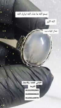 خاتم كلاسيك • عقيق يمني شجري • مقاس ٢٤