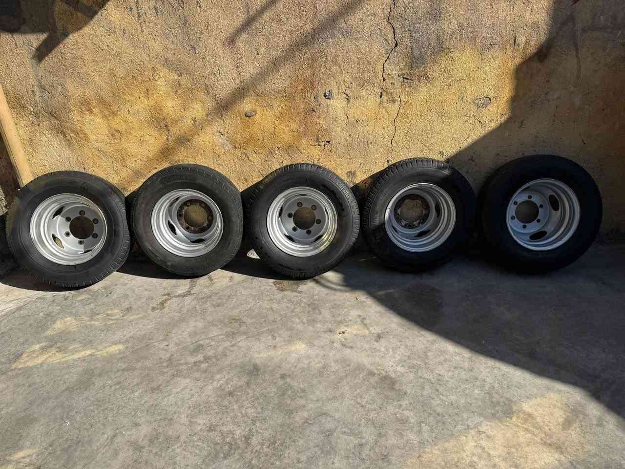 السلام عليكم تخم ويل 14 جدد
***********
