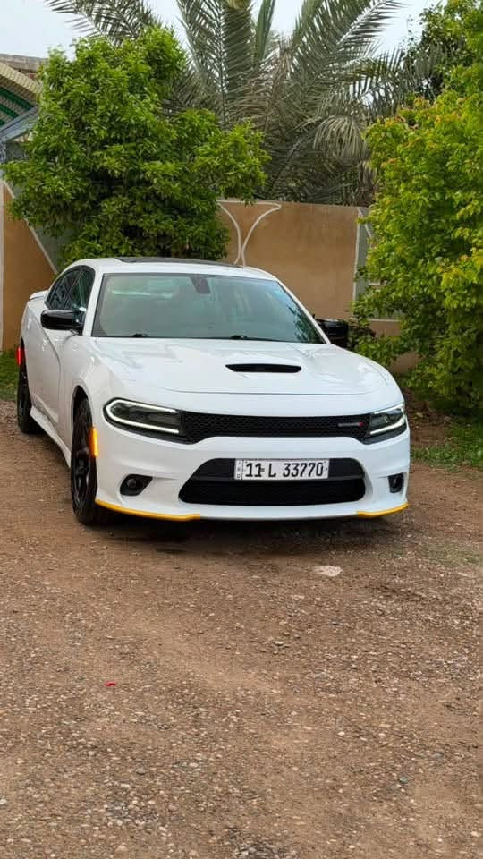 جارجر GT 
خليجي وكالة هارلم
موديل 2021
رقم بغداد مميز باسمي
مواصفات الجيتي معروفة
محرك V6 3600
سوبر تراك باك
فتحة سقف
مرايا اوتو ديم
كرسي كهرباء
شفتات ستيرن بلادية
ويل 20 بلادي 
تخم تاير جديد قبل شهر
حساسات بارك سنسر
كشنات جلد 
اريد نفكيشن 
ماشية 46 الف مايل
بيها تكحيل كارت نص شبر اثر شخط
سيارة جاهزة من كلشي
احلى من الصور 
السعر 308ورقة
مكان السيارة صلاح الدين قضاء بلد
***********
***********

