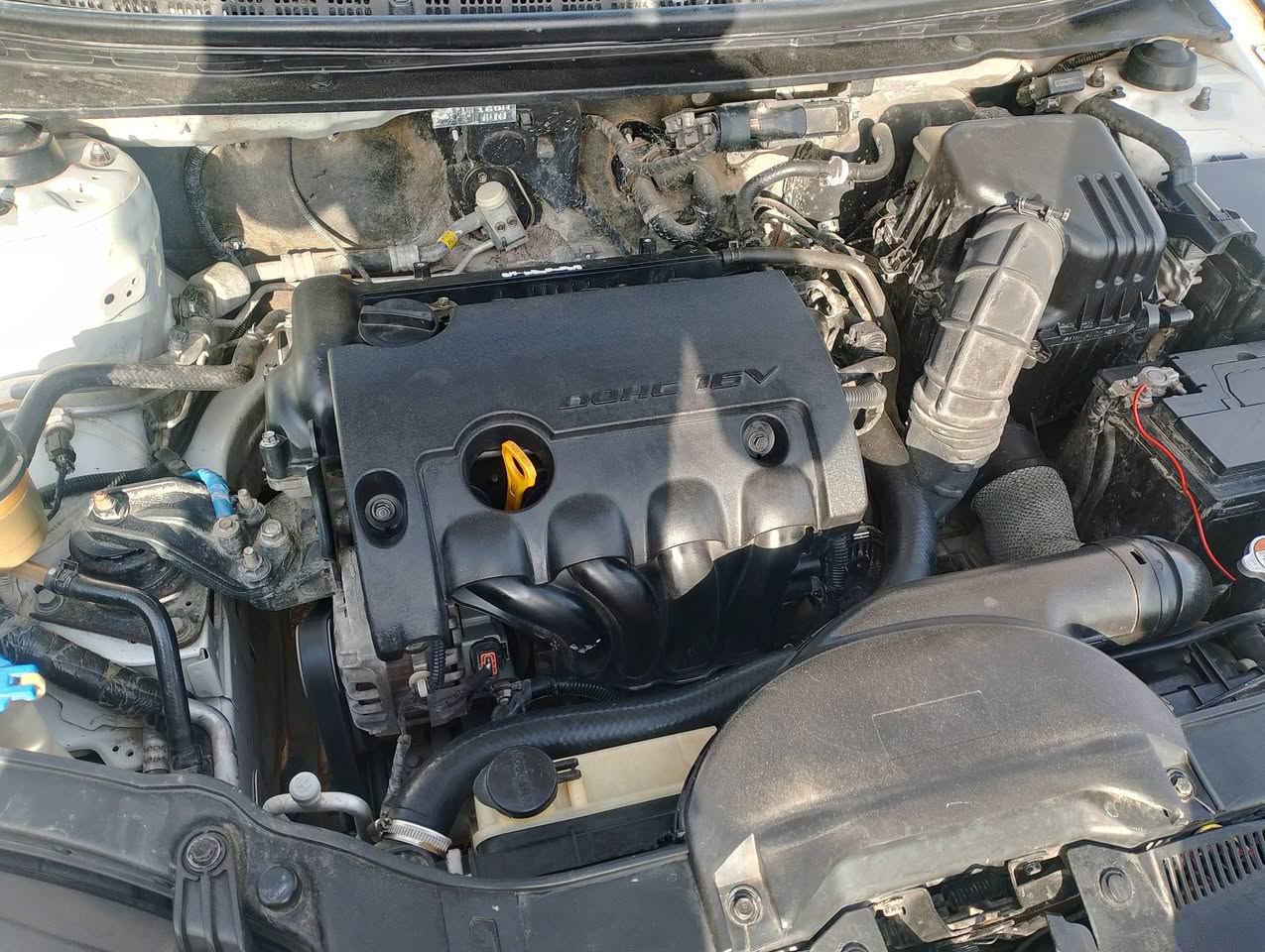 السلام عليكم سيراتو موديل 2012 تحويل مشروع وطني مكاني ناصريه رقم نكليزي. بيها رشات تجميل وجاملغ امامي مبدل السعر ب88. وبيها مجال الاتصال ع رقم ***********
