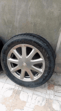 سلام عليكم ورحمه الله وبركاته من رخصت صاحب الكروب
تخم وياله نجمه نفطي نضافه 85 فقط مصبوغات صبغ درج أولى بل 100٪  بيهن تايرات جدد نضافتهن ١٠٠٪ الله يشهد سعر ٥٥٠ وبيهن مجال مكاني ديوانية ـ شاميه الي يريدهن يتفضل خاص خادم وممنون واذا اكو مراوس اراوس رقم 📞📱***********
