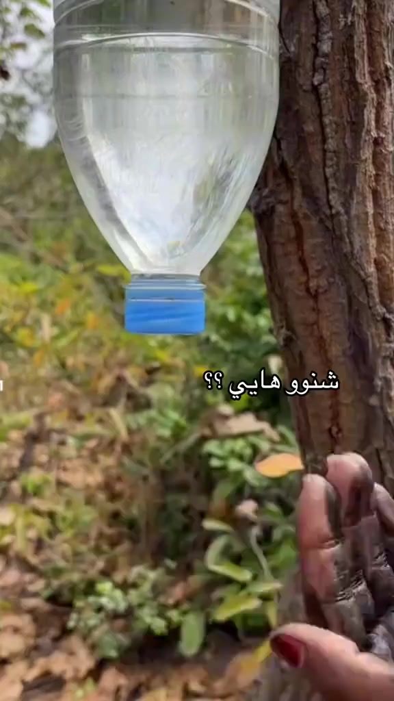 � رمضان ويانه… واستمتع بنظافة وانتعاش بعد الفطور 🧼✨

🍇 صابون عنقود العنب
نعومة ورائحة منعشة تدوم 💜

💰 سعر البوكس 5000 دينار
🚚 توصيل بغداد وجميع المحافظات

📞 للطلب: ***********

#رمضان_ويانه #صابون_العنب #توصيل_كافة_المحافظات #عناية_بالبشرة
