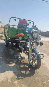 ستوته • موديل 23 • بابل القاسم