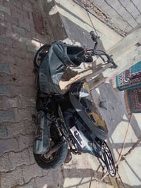 شغالة • معدل • شرط