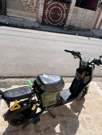 07754447664