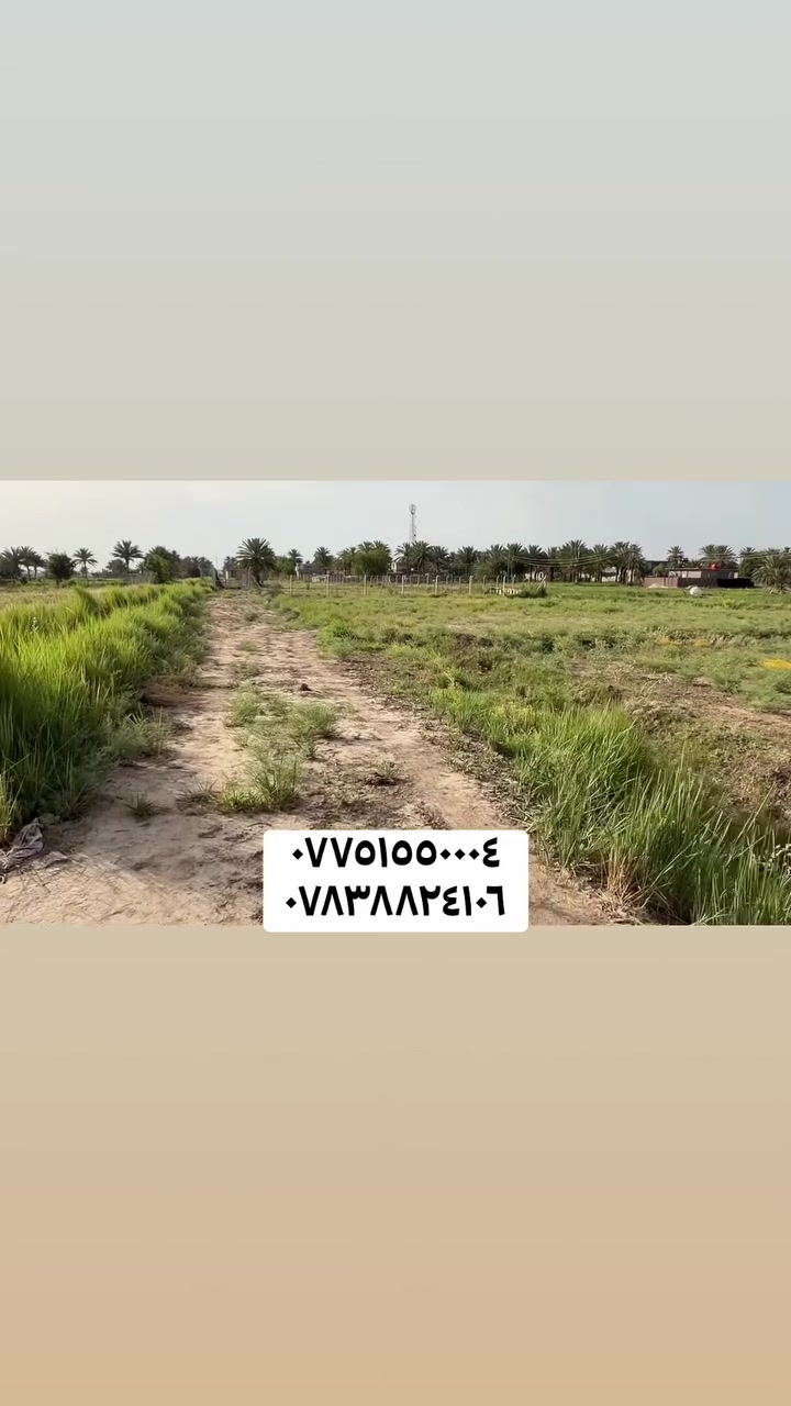 ارض صرف زراعيه للبيع🌱

📐مساحة :دونم ١ 

📜صنف العقار: طابو صرف 

📍الموقع :بابل /منطقة عوفي الگص

متوفر بيها ماء السقي بريمة ارتوازية و اروائي 💧

⸻

📞 للاستفسار والتواصل:
محمد عباس للتسويق العقاري – M/A
***********
*********** 

@#
