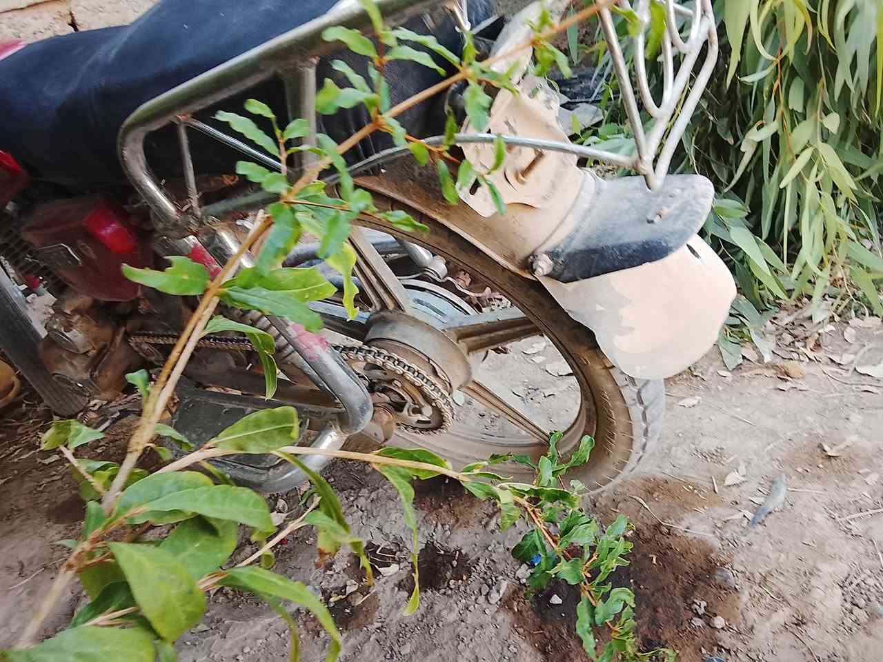 السلام عليكم ماطور للبيع موديل 18 محرك شرط كهربائيات شغاله السعر 175 وبي مجال لشراي ارقم ***********
