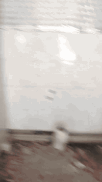 السلام عليكم كادر سيراميك درجة اولى بأمر الله في جميع المجالات بورسلين درج كاشي مرمر  سيراميك ارضيات جدران مكاني بغداد متفرغ حاليا ***********
