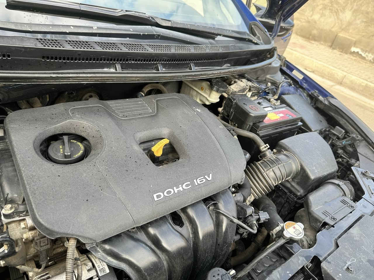 فورتي ٢٠١٧  امريكي  S
بيها 3 قطع  بدون دواخل ابد 
شاشة كار بلي كبيره 
كامره دواره
فول تحكمات ستيرن
انظمة قياده
 تخم وباتري جدد 
صدر امامي خلفي جديد 
غرفتها جديده  جدا 
كير محرك مكفولات 
محرك ٢٠٠٠  دوش بلاش ممفتوح
ماشيه  150 الف 

سنويه29 جديده  باسم عربي شرط التحويل 
سياره  كلش نظيفه ومابيها اي نقص 
مكاني  المحمودية
سعرها 112 ورقه 
اتصال فقط  ***********
