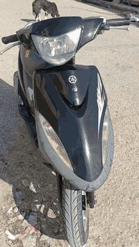 سلام عليكم دراجه ماكس البيع كفاله عامه ما ابيحه شي سعر خاص هاضه رقمي ***********
