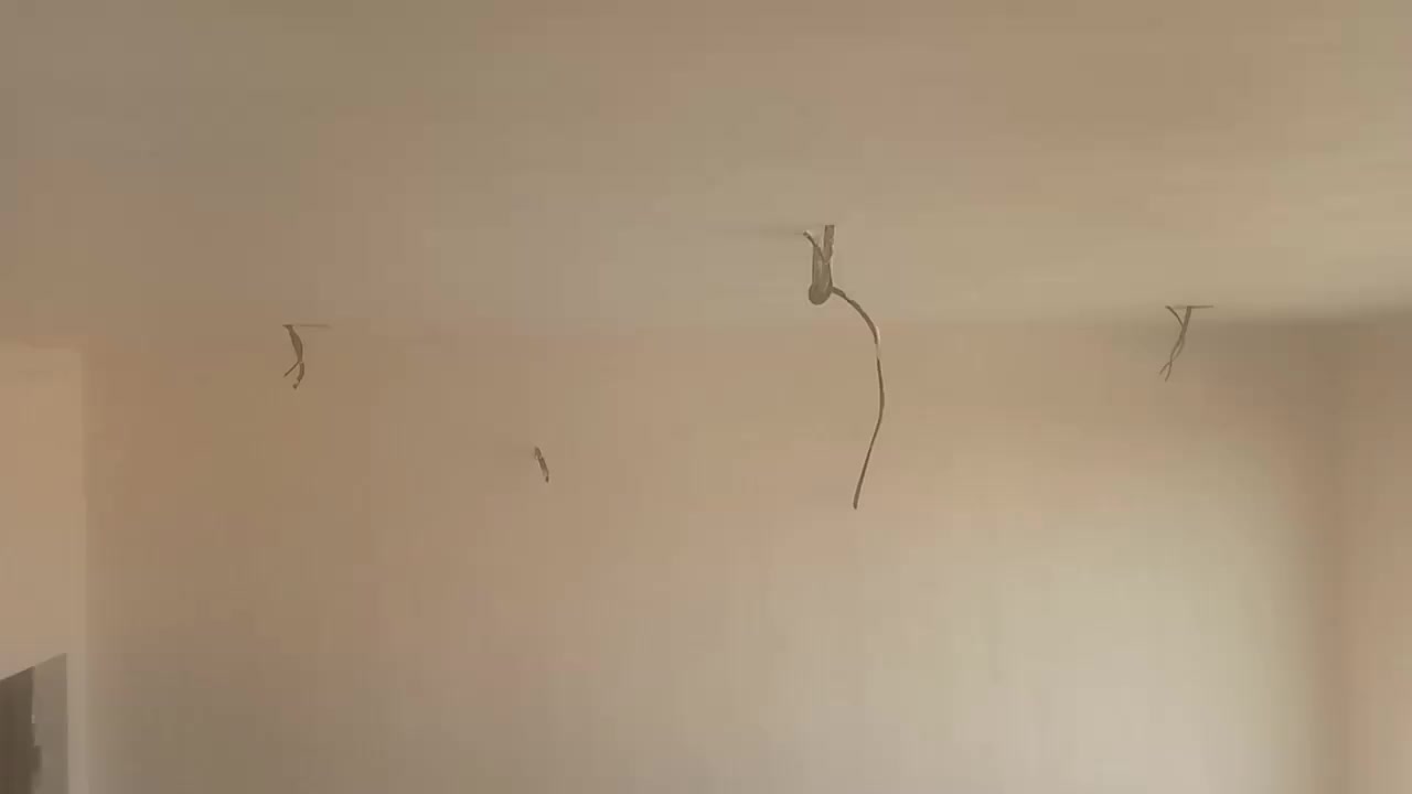 اخوكم أبو عباس المبيضجي جص بورك بياض جميع مناطق بغداد اي ستفسار اتفضلو واتساب  وتدللون من عيوني***********
