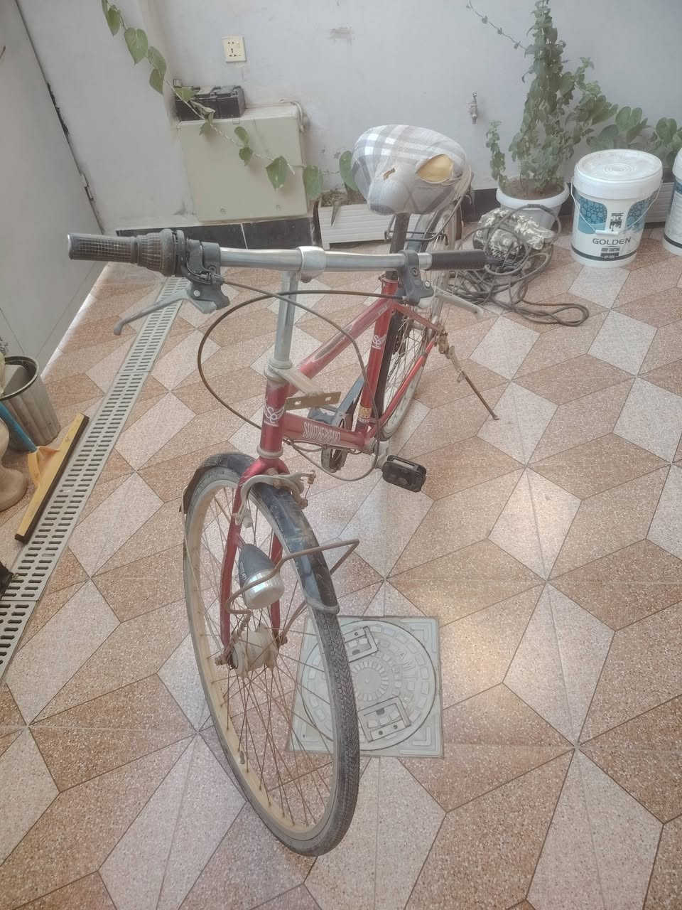 باسكل لبيع سعر ٣٥ بعقوبه مدخل رحمه


**إذا كنت صاحب هذا الإعلان وتريد حذفه لأي سبب، رجاءا أرسل رسالة إلى الدعم الفني**