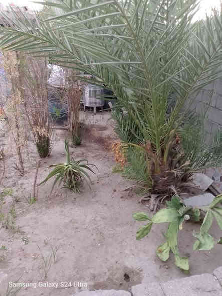 بيت للبيع – كربلاء / قرية آل جميل (خلف جامعة العميد)
- المساحة: 200 متر  
- البناء: بلوك درجة أولى  
- طابو: زراعي (سند 25 قابل للتحويل إلى صرف)  
- يحتوي على:  
  - غرفة 4.50 × 5 م  
  - مطبخ 4.50 × 5 م  
  - استقبال 4.50 × 5 م  
  - حديقة  
  - صحيات عدد 2 خارجيات  
  - كراج  
- الكهرباء: خطين + مولدة  
- موقع مميز: شارع 10 متر، قرب مولدة أكرم الأولى  

📞 للاستفسار الأتصال أو عبر واتساب:  
*********** – ***********
