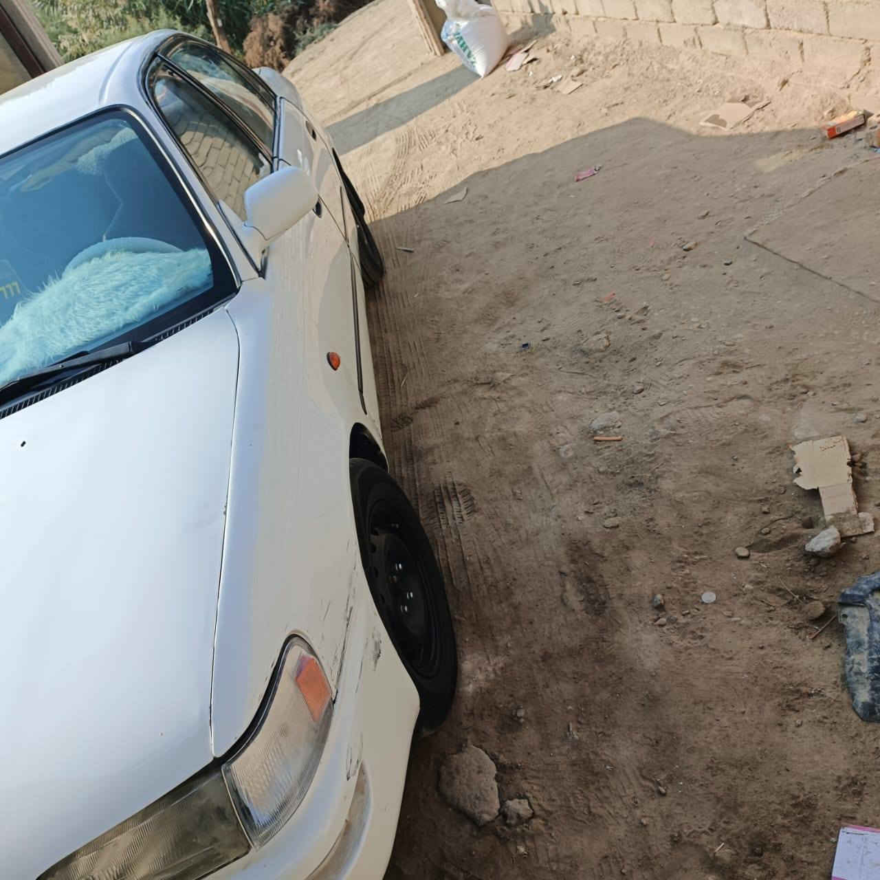 كورله نضيفه كلش حلوه غرفه جديده 4 تارات جدد
فحص جديد كتاب من كريم حسون اكفله من العيب الشرعي
ضربه بس بل مقدمه كلش خفيفه
مصوبعقه جماليه فقط اي معجون مابيه شرط
السياره جاهزه اوحلوه السعر 45 اوبيه مجال بصيط
***********
