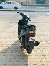 ماكس عدله • كفاله عامه • بصره معقل