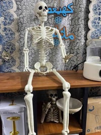 هيكل عظمي • كامل • للديكور
