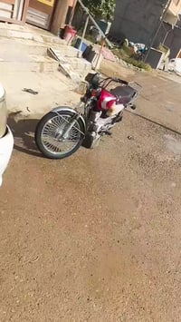 تايكر • مكفول • ٢٠٢١