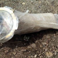 قاعدة • فيتبم • الالنوس