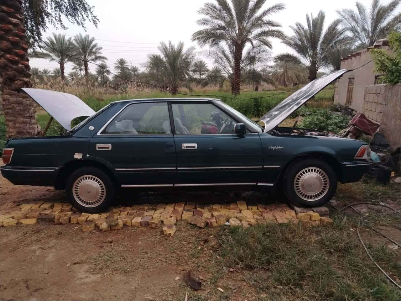 هارتوب طويل مكينة وكير وصدر مكفولات رقم نجف انكليزي بسمي هزة ما ساقطة سنويتها لنهاية 2030 ، السيارة مكفولة من اي عيب شرعي، السعر 38 بيع او مراوس ، العنوان بابل  ***********
