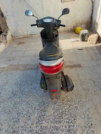 بريز بغبغاه • كفالة عامة • شارع فلسطين