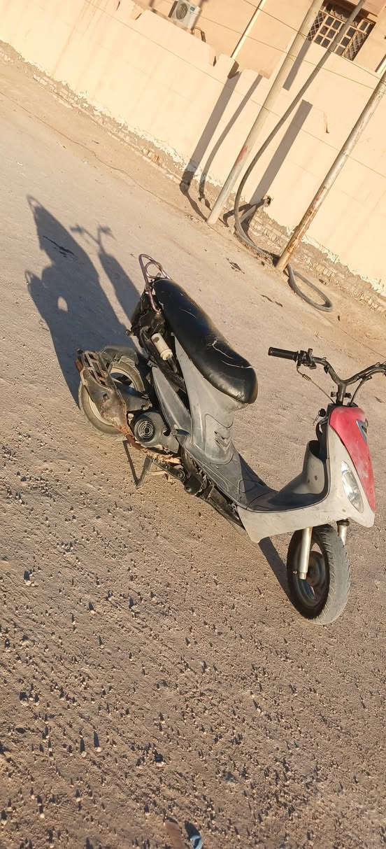 للبيع منغولي حربيه غراضها كامله 49بلاد مامفتوحه كفراتها جارده كلش السعر 450 للاستفسار ***********او خاص
