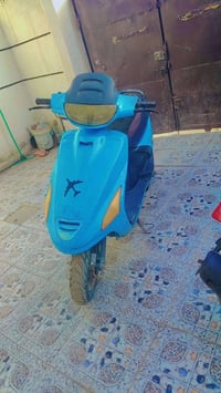 دراجة فراشة • فحل • بابل شارع 80