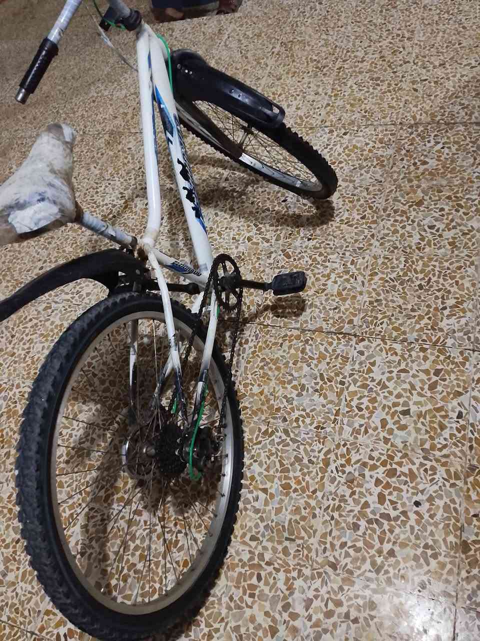 سلام عليكم
باسكل بالا 
جبلي 
البيع
تعال الخاص


**إذا كنت صاحب هذا الإعلان وتريد حذفه لأي سبب، رجاءا أرسل رسالة إلى الدعم الفني**
