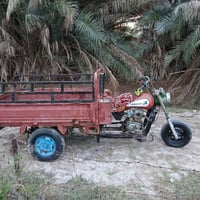 ستوته البيع ديوان  كلك كلك  مكفولي العنوان صويره تصال عل رقم.  ٠٧٨٣١٠٧...