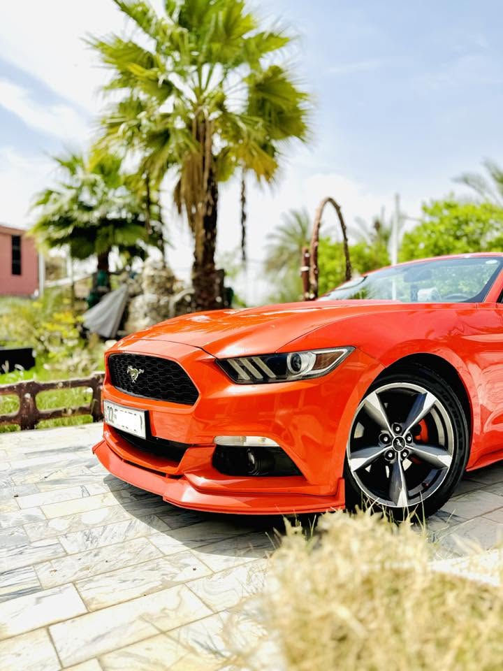 سلام عليكم شباب
للي يدور شي نظيف حصرآ بسعر مرتب
فورد موستنك للبيع 2015 كشف قطعه وحده صبغ فقط واستعمال شخصي

اللون مميز برتقالي مائل للاحمر 🧡
الفئة V6  3700كولشي بلادي عدا اظافات خفيفة اني مسويه
رقم اربيل الدولي بااسمي (رقم و سنوية جديدة)

✅ماشية 80
✅ السيارة جديدة كاملة وبدون نقص
✅ منظومة أكزوزت HT تحكم ريمونت شادهن قبل اسبوعين
✅ مبرمجه بلكاامل يم طلال كراج 4 brothers
✅كشف نظيف
✅ سبايدر +لحيه+دفيوزر سرفيني
✅ محرك وكير وأكسل بشرط 
✅فول تحكمات ستيرن
✅كامره دوارة
✅تشغيل عن بعد
✅بلاجكتور (كشاف) بلاد +منظومه زنون  زرع عدسات لايته يعمي  
✅تحكم كرسي كهرباء

✅✅ السيارة داخله كلين بلعراق صاير بيه طخه خفيفه بحافه لبنيد ومصبوغ فققققط بدون ايرباك بدون اي داخل 
 ✅السيارة نظيفة حيل و متعوب عليها و مصروف عليها هواية ومكمله لاااخير حبايه، الدهن بس أصلي و البانزين بس محسن.

السيارة بأسمي بشرط التحويل
مكانه حله

✅سعرها 148 مجال بسيط

🚫 ع ايدي مانازله ساحه استعمال شخصي واخت الكلين.

للاستفسار أتصال أو واتساب
***********
