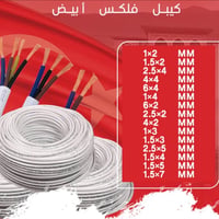فلكسات • فانوس حديث • كربلاء المقدسة