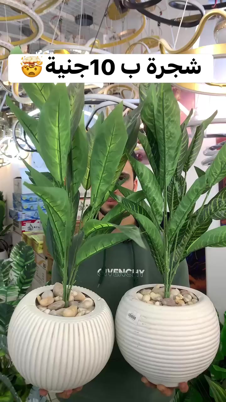 جاليري الشافعي 💥💥💥
بيعيد عليكوا بهديا لاكتر 💯
شخصين هيعملو كومنت ❤️‍🔥
وشير على الفديو 😅


**إذا كنت صاحب هذا الإعلان وتريد حذفه لأي سبب، رجاءا أرسل رسالة إلى الدعم الفني**