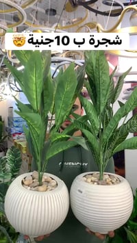 جاليري الشافعي • هدايا • مسابقه