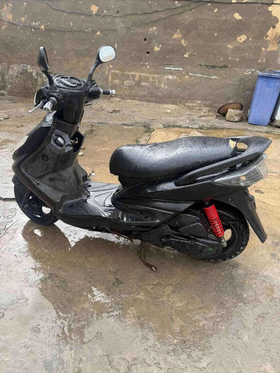 السلام عليكم للبيع سكنس فحل نوزل نضيفه شلعه معدل خير من الله مكانها بغداد السعر 750 الاستفسار ***********
