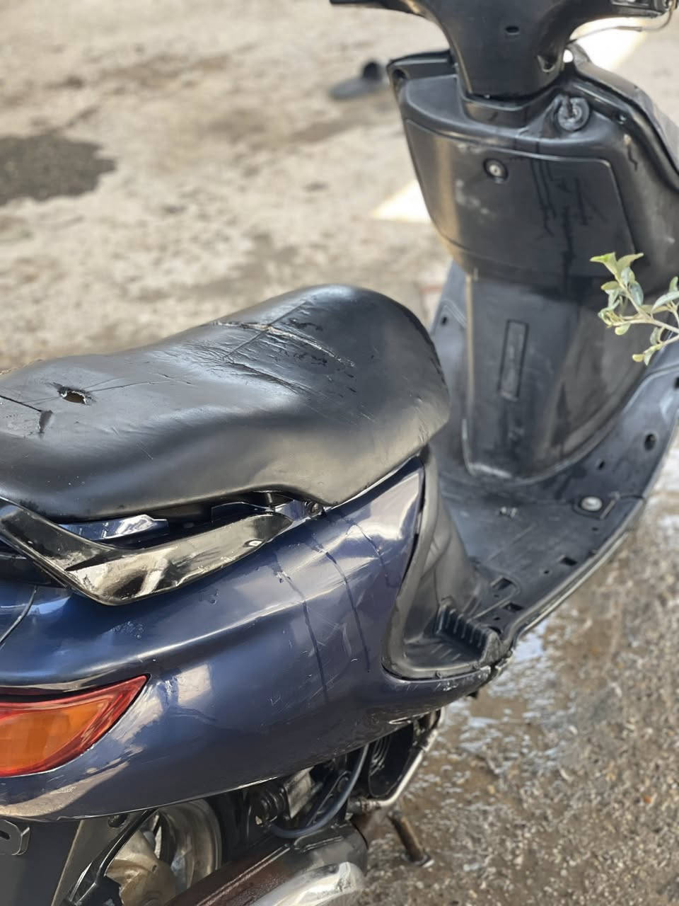 للبيع  دراجه فراشه فحل جديده  مكان  كربلاء طويريج 
تفاصيل اكثر اتصل علا رقمي 
***********
