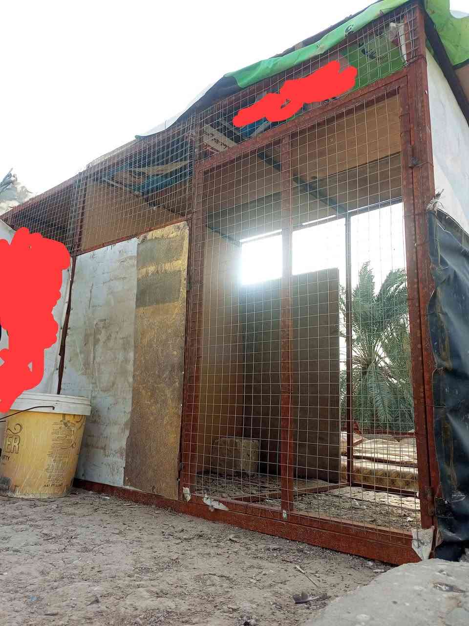 سلام عليكم
قفص للبيع يصير مال مطيار حمام 3 بيبان ورابع مامشدود بس ابيع قفص يرادله ترتيب س 75 قفل مكاني الهوير *********** واتساب
