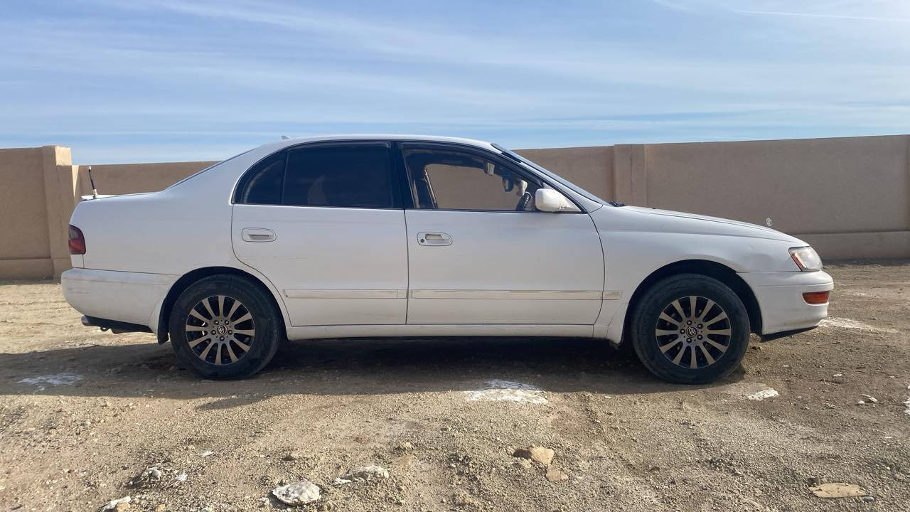 فرخ بطه موديل ( 1992 ) رقم صلاح الدين دولي سنوية ( 2030 )شرط التحويل محرك وكير نضيف حجم( 16 )  
السيارة جاهزه وبدون صبغ السعر ( 65 ) العنوان الشرقاط 
رقم الهاتف ***********
