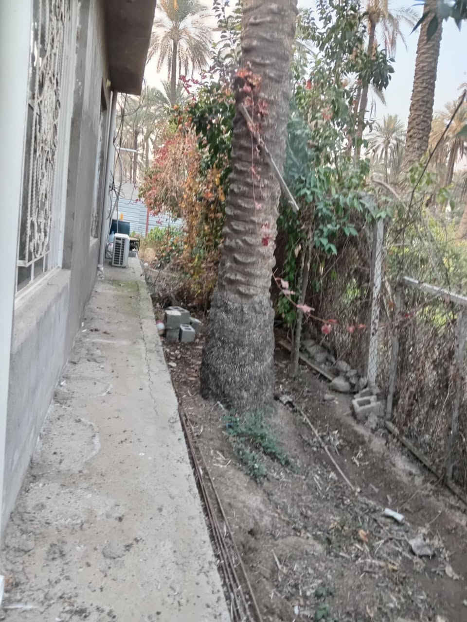 السلام عليكم نص دونم طابو صرف مع بيت 3 غرف نوم واستقبال ومطبخ وصحيات داخليه وخارجيه للبيع العنوان المدائن قرب شارع سيد علي مخدوم بلكامل مي وكهرباء وتبليط يبعد عن الشارع 100 متر وجه الأرض 38 ونزال 36  للأستفسار***********@
