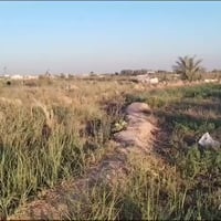 ٢٥٠٠م • نهر جاري • طابو ملكي