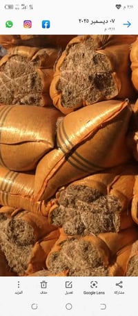 اسلام عليكم يوجد تبن للبيع السعر العربان 200 الرقم 07828317768