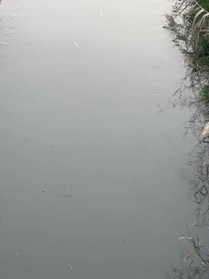 سلام عليكم
أرض زراعية عقد 35البيع 75دونم    واسط قضاء الموفقية معدله اليزر  كلها  تزرع  كلها بيه بيوت 🏠  4بية بستان  180 نخلة 🌴 بيه محولة كهرباء بوحدك بية بوري ماي ساله نهرك بوحدك شارع بوحدك مدرسة 🏫 بتدئية 400 متر رقم الهاتف ***********
