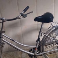 باسكل • موزه • نضيف