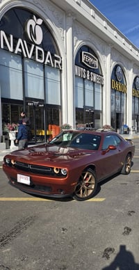 جالنجر • ٢٠٢٣ • ٦ سلندر