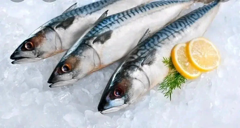 🐟 أجود أنواع الأسماك والمأكولات البحرية الطازجة يوميًا! 🦐
طعم البحر الحقيقي بين إيدك 😋
 سمك طازج ومتنوع
جودة عالية وسعر يناسب الجميع

#مجمع اسماك جويلي 

للطلب والاستفسار يرجى التواصل معنا على الارقام التالية      ***********📞 *********** 📞***********📞

نوصل طلبكم لباب المنزل
📍عنوان مطعمنا ـ بغداد ـ السيدية ـ الضباط بعد جامع الأقصى 

🧊 الطزاجة سرّنا... والتميز عنوانّا! 🌿
