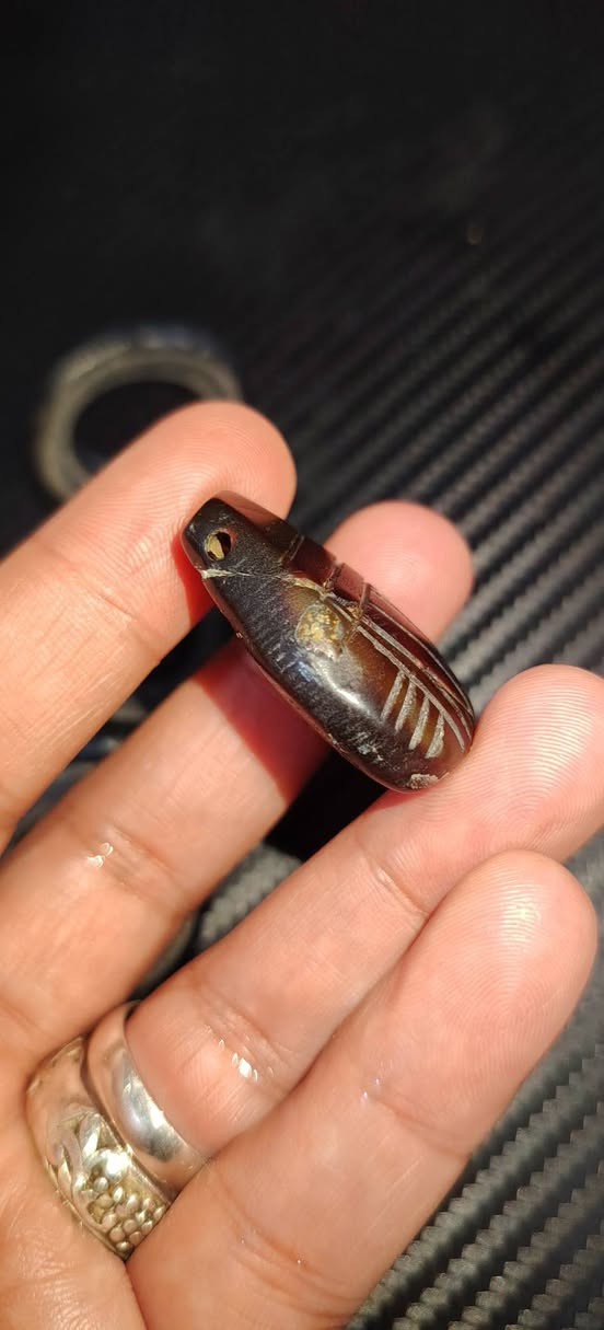 يماني قديم حجم راهي توصيل لجميع محافظات العراق


**إذا كنت صاحب هذا الإعلان وتريد حذفه لأي سبب، رجاءا أرسل رسالة إلى الدعم الفني**