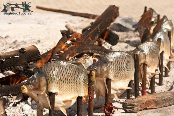 مطعم وكافيه سمرقند سمك مسكوف بغدادي دجاج شوي مطبك سمك اجنحه العنوان شارع الصب مقابل قريه الغدير عامود 268 التوصيل مجانا للحجز والتوصيل *********** /***********
