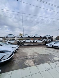 بي واي دي سيل • ٢٠٢٥ • عداد زيرو