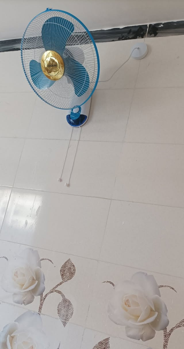 تأسيس كهرباء 
سيمنز --بوري..
وعمل وصيانة بورد وسيطرات الكهربائية 
..أعمل داخل الصويرة واطرافها
***********
